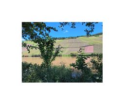 Pflegekindertreff Bild 6