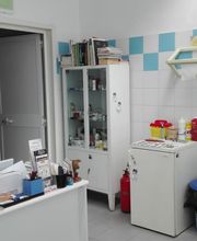 Ambulatorio Veterinario Costa D'Argento - Porto Santo Stefano immagine 3