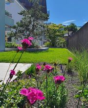 Peter Staub AG Bild 3