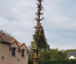 Jardin Vert Eden image 4