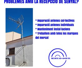 Seligrat-Anthel imagen 11