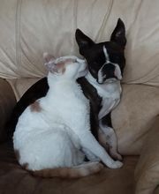 Manusset Sylvie image 16