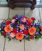 Rosavel la rose des vents image 12