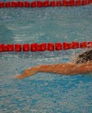 White Sharks e.V. Bild 20