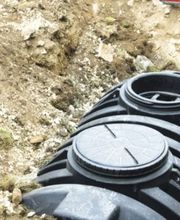 Rocuet David image 5