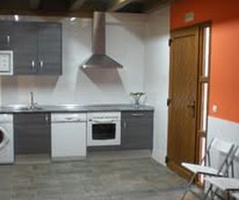 toro5.jpg