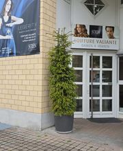 Coiffure Valiante Bild 1
