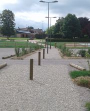 Collas Pierre image 3