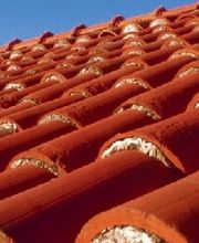 Wolfgang Braun & Andreas Braun Bild 1