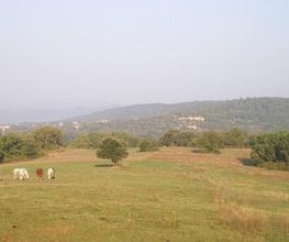 Les Ecuries D'aurabelle image 7
