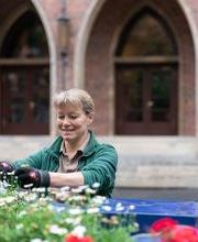 Gartenpflege im Krankenhaus