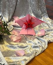 Bestattungsdienst Timon Wälchli GmbH Bild 1