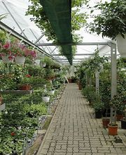 Gärtnerei Bühler GmbH