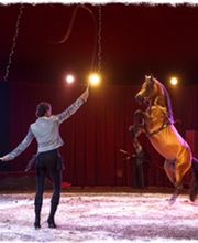 Esprit De Cirque image 12