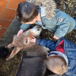 Une patte dans la main