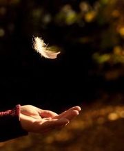 Tesche & Kühn Bestattungen GmbH  Potsdam Groß Glienicke Bild 2