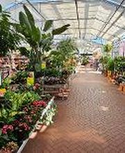 HORNBACH Gartencenter Leipzig-Eutritzsch Bild 4