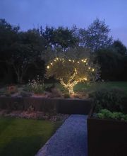 Tilly Paysage et Pépinière image 3