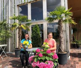 Blumen Joos GmbH Bild 4