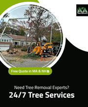 AA Tree Service image 6
