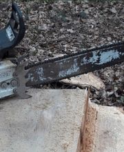 Baum&Gartenservice Meier Bild 2