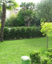 Concepts Paysages Végétaux image 4