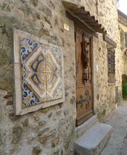 Meyer-Mazel Aurelie image 2