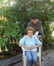 Les Paniers de Cérès image 6