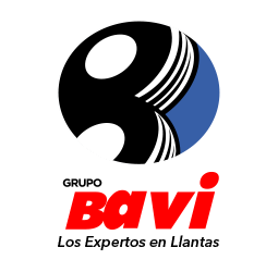 Michelin Car Service - Bavi Camelinas