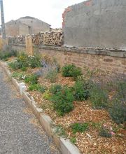 Damien Leclerc Paysage EIRL image 6