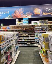 Animalis Cesson image 2