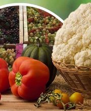 Trégor Primeurs image 3