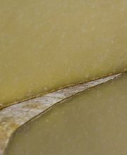 ARCADIE SARL image 1