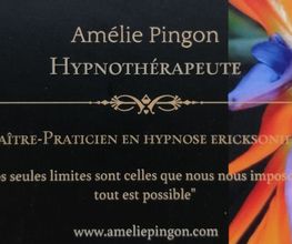 Pingon Amélie image 7