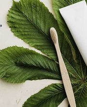 Azoy Dental SLP imagen 5