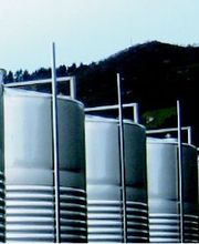 Sidra Riestra imagen 20