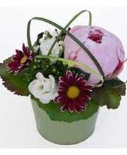 La Rose Rouge image 16