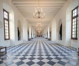 Château Chenonceau image 15