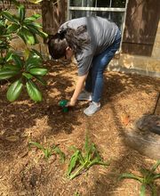 SafeHaven Pest Control image 2