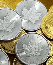 Silbermünze Maple Leaf oder Goldmünze Britannia jetzt online im Shop erwerben – 135.000+ top Bewertungen.