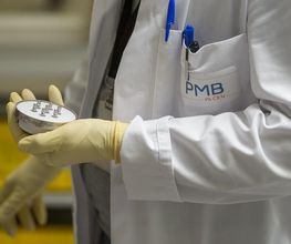 P.M.B image 8