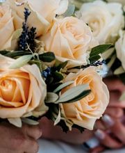 Lägere Blueme GmbH Bild 12