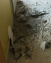 Nord Isère 3D image 5