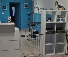 Planet'Dog image 1