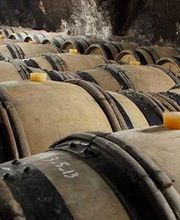 Domaine du Paradis image 6