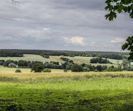 FriedWald Kamenz Bild 12