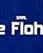 Le Flohic Sarl image 2