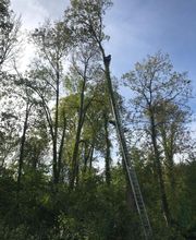 Wintrestin image 7