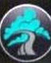 Stéphane Mahé Paysagiste image 2