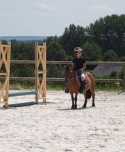 Centre Equestre De Serqueux image 5